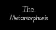 The Metamorphesis